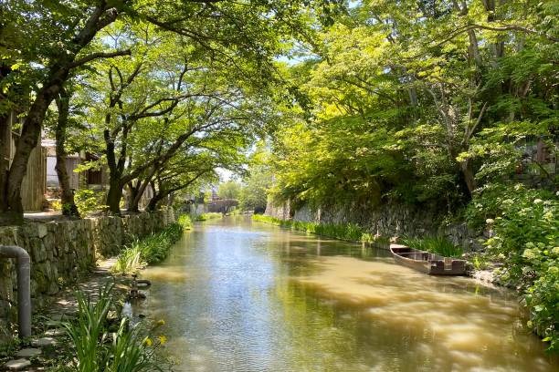 Essential Things to Know Before Visiting Omihachiman for the First Time Essential Things to Know Before Visiting Omihachiman for the First Time